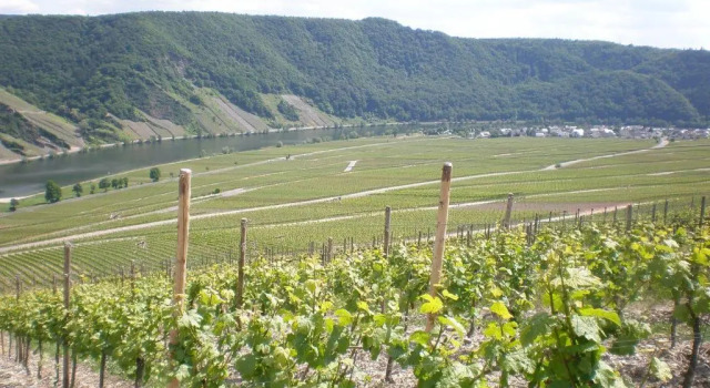 Коттедж Holiday Home Weingut Mertes