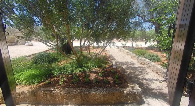Номер Standard Azienda Agrituristica Masseria La Verna