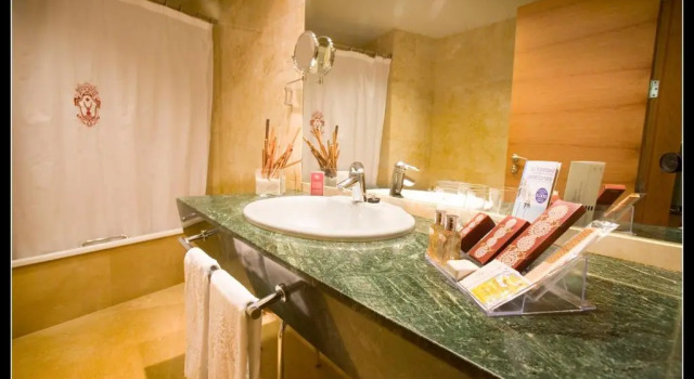 Двухместный номер Standard Sercotel Palacio de Tudemir