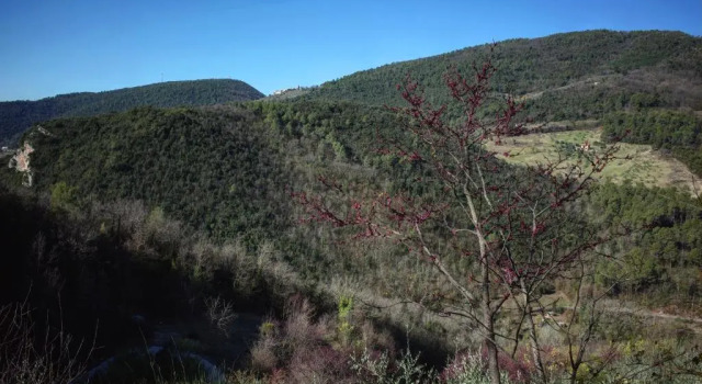 Agriturismo Il Casaletto