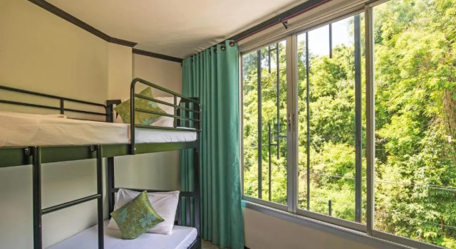 Семейный номер Standard Green House Hotel