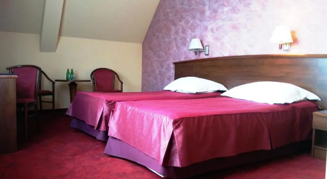 Двухместный номер Standard Hotel Zawiercie