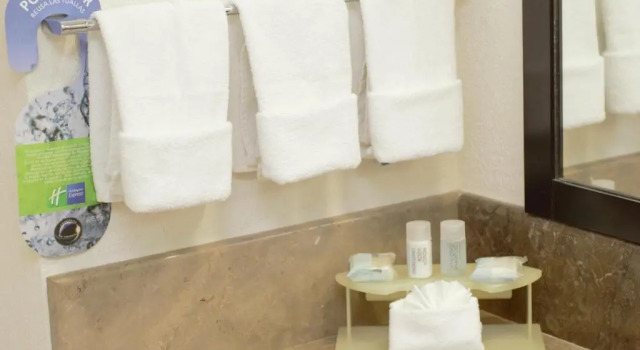 Четырёхместный номер Standard Holiday Inn Express Tuxtla Gutierrez La Marimba by IHG