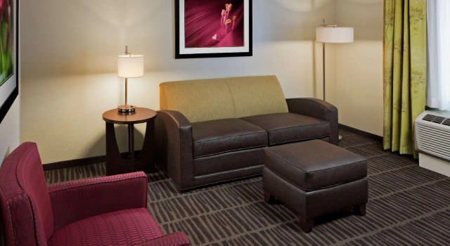 Двухместный люкс Hampton Inn & Suites Saginaw