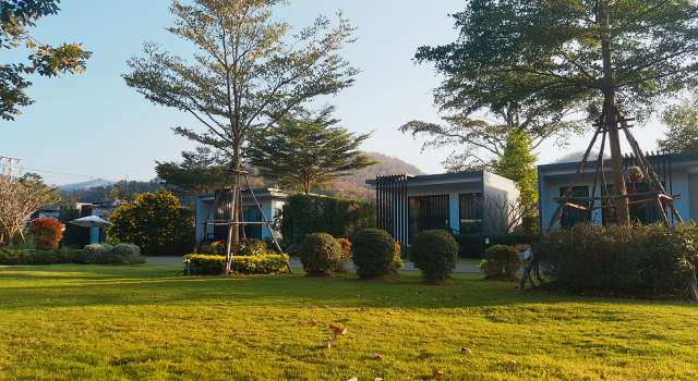 Номер Standard The Focus Khaoyai Resort