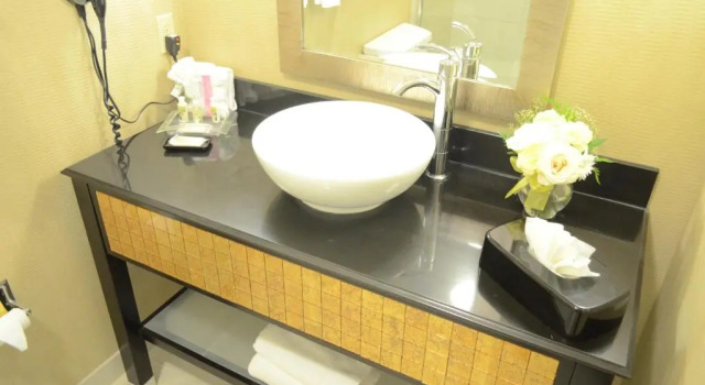 Accessible Double room Holiday Inn Hotel Houston Westchase