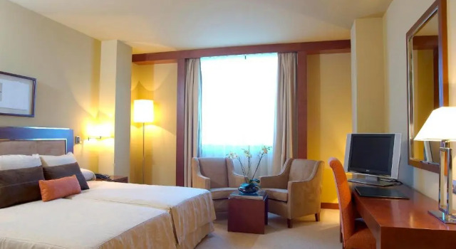 Двухместный номер Standard Hotel Nuevo Madrid