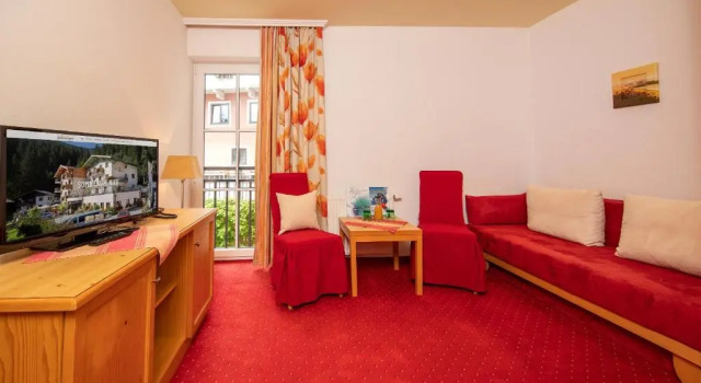 Полулюкс Hotel Der Schmittenhof