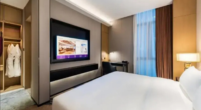 Люкс Mercure Shenzhen Longgang