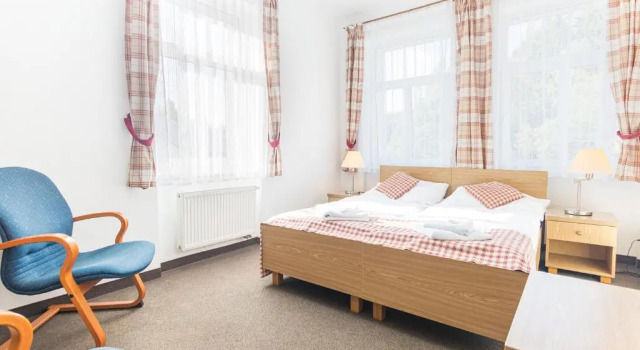 Двухместный номер Standard Hotel Seifert