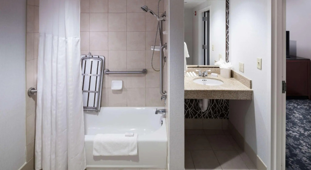 Двухместный номер Standard Hilton Garden Inn Frisco