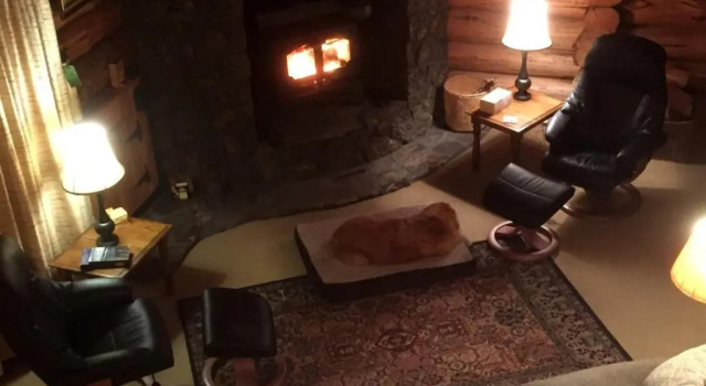 Коттедж Sisters Dream Inn