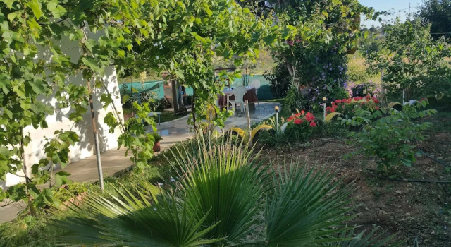 The Cozy Home, Boek Hotel Gibraleon Andalusië