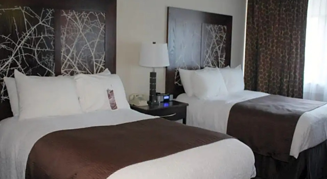 Четырёхместный номер Standard Adams Mark Buffalo Niagara