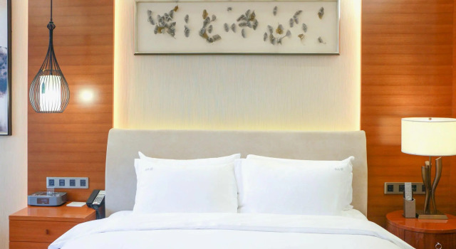 Двухместный номер Standard Holiday Inn Nanjing Xuanwu Lake by IHG