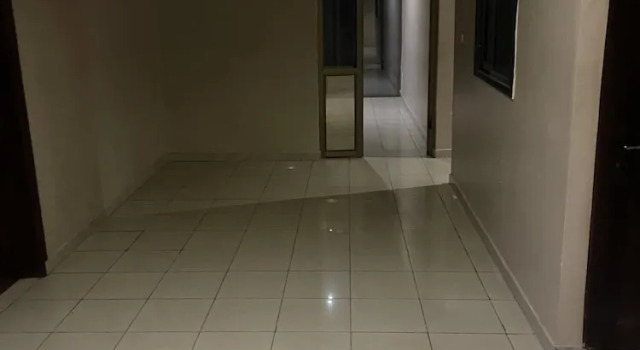 Студия Loyalty Hotel