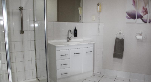 Двухместный номер Executive Bristol Hill Motor Inn