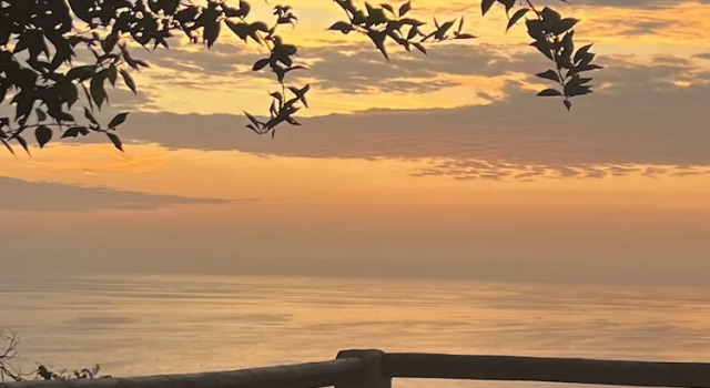 Люкс Premium Samai Lodge Holistic Living