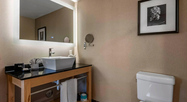 Четырёхместный люкс Cambria Hotel Ft Lauderdale, Airport South & Cruise Port