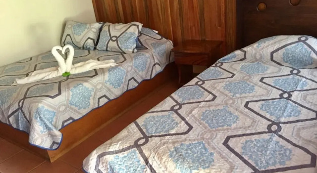 Номер Classic Green Papaya B&B