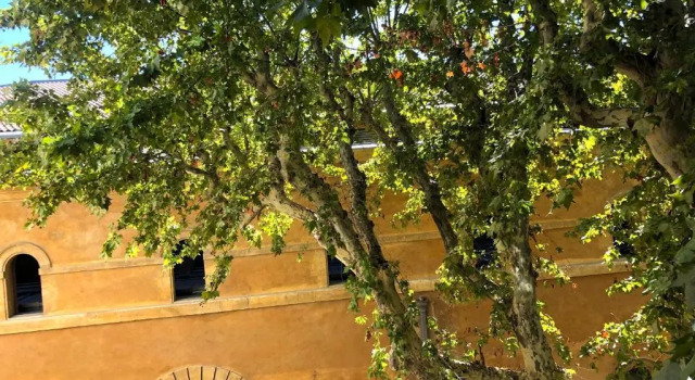 Апартаменты Beau 3 pièces 83 m2 au coeur du centre historique d'Aix en Provence