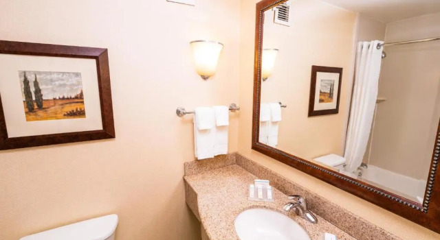 Люкс Hilton Garden Inn Ontario Rancho Cucamonga