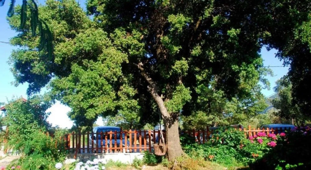Alekas Studios, Prenota Hotel Therma Isola di Samotracia
