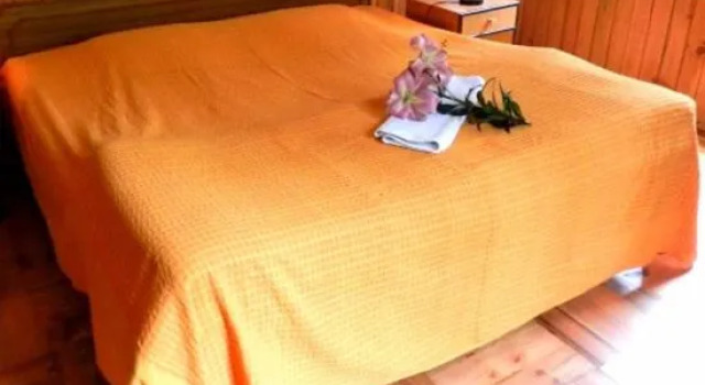 Manali Treehouse Cottages