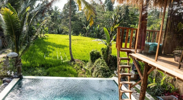 Bali Bamboo Jungle Huts And Hostel.