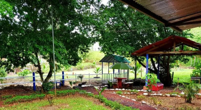 Семейный номер Standard Hotel Maguey
