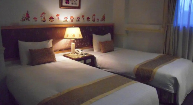 Двухместный номер Standard City Hotel