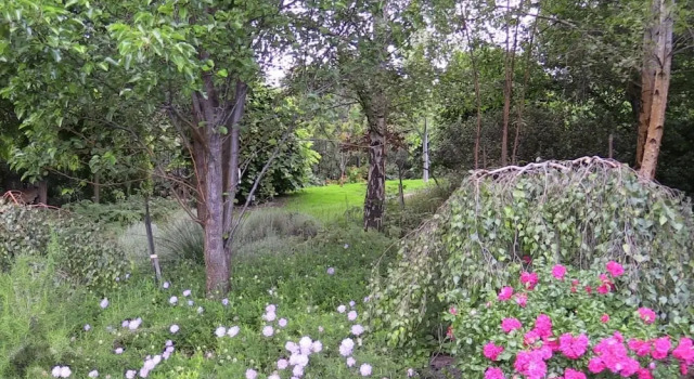 The Musicians Retreat B&B, Prenota Bed & breakfast Rosebud Mornington Peninsula