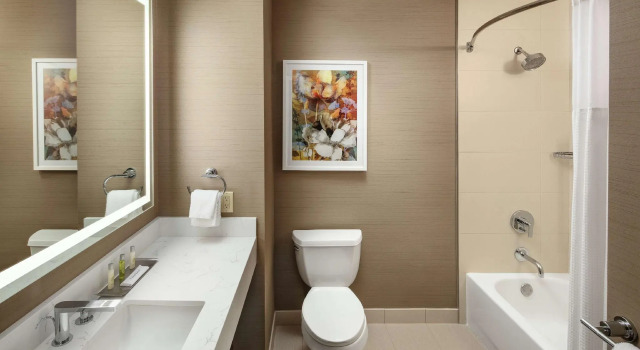 Двухместный номер Standard DoubleTree by Hilton Ontario Airport