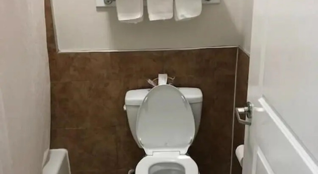 Номер Standard Palace Inn Greenspoint