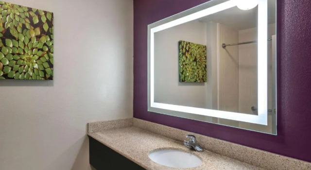 Двухместный номер Deluxe La Quinta by Wyndham Latham Albany Airport