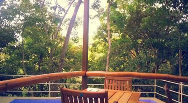 Green Sanctuary