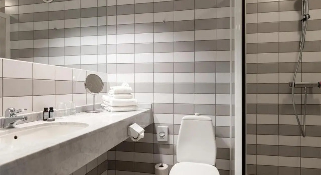 Двухместный номер Standard Elite Park Hotel