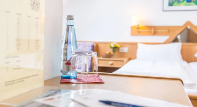 Двухместный номер Standard TIPTOP Hotel Garni Pfauen