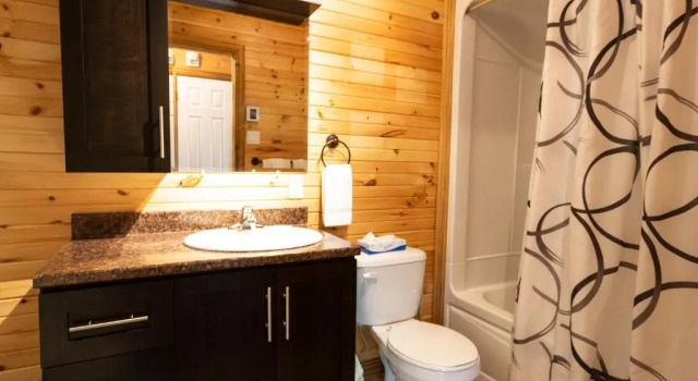 Апартаменты с 2 комнатами Chalets et Spa Lac Saint-Jean