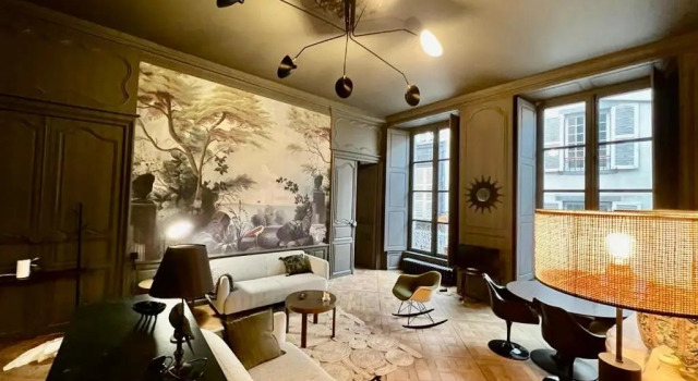 Splendide 2 pièces 65m2 Hôtel Particulier XVII ième siècle-Centre Historique Clermont-Ferrand