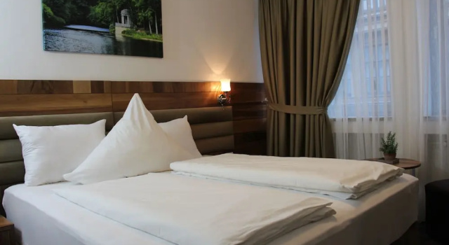 Двухместный номер Standard Hotel Bayrischer Hof
