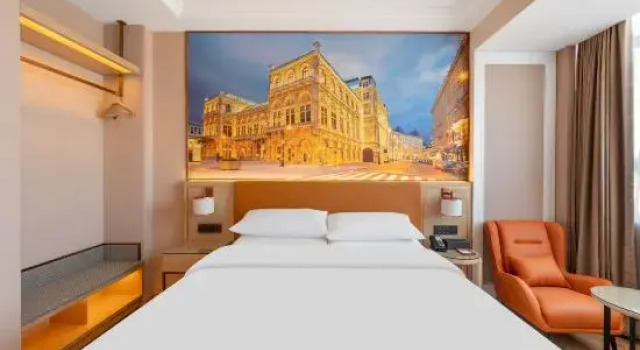 Люкс Standard Vienna Hotel (Bachu Century Avenue Store)