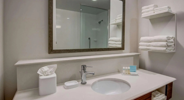 Двухместный номер Standard Hampton Inn Plant City