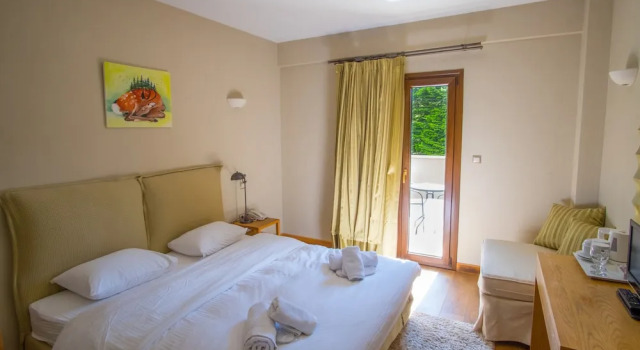Двухместный номер Standard с балконом и с видом на горы Anavasi Mountain Resort
