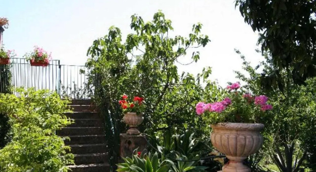 Трёхместный номер Standard Дуплекс Baglio Delle Rose