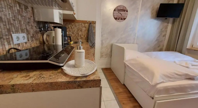 Апартаменты Vintage Apartment