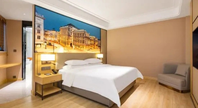 Люкс Deluxe Vienna International Hotel