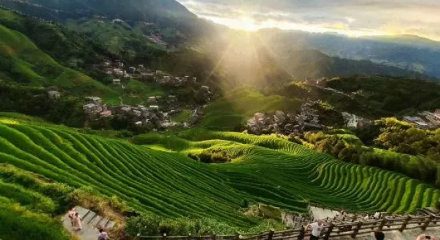 Longji Spring Inn