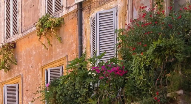 Spagna Blue Suites