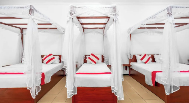 Номер Deluxe Treetop Resort